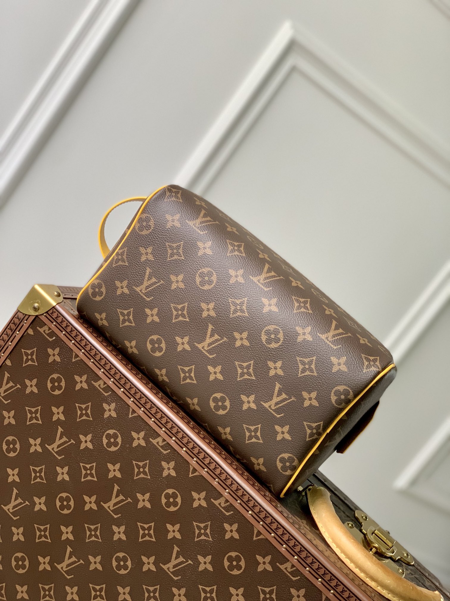 LV Cosmetic Bags